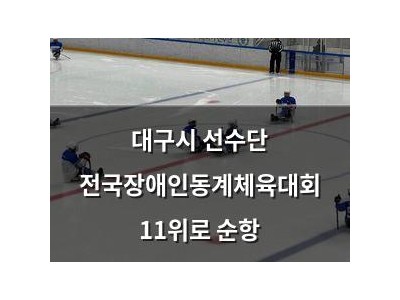 대구시 선수단 전국장애인동계체육대회 11위로 순항
