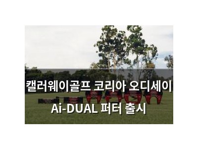 캘러웨이골프 코리아 오디세이 Ai-DUAL 퍼터 출시