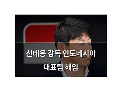 신태용 감독 인도네시아 대표팀 해임