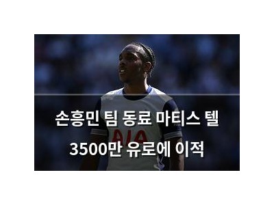 손흥민 팀 동료 마티스 텔 3500만 유로에 이적