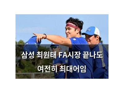삼성 최원태 FA시장 끝나도 여전히 최대어임