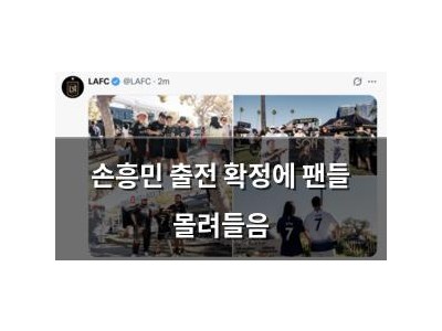 손흥민 출전 확정에 팬들 몰려들음