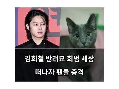 김희철 반려묘 희범 세상 떠나자 팬들 충격